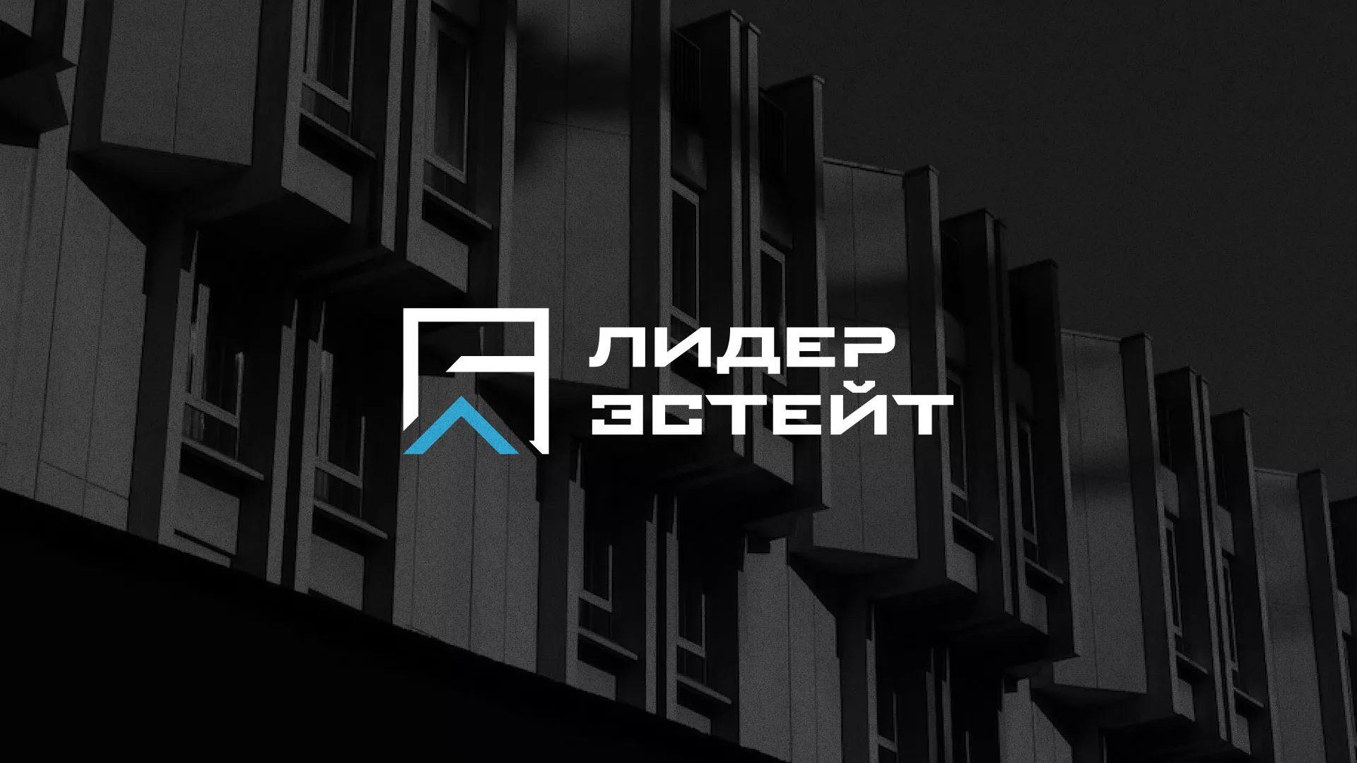 Разработка логотипа агентства недвижимости «Лидер Эстейт» в Болгаре